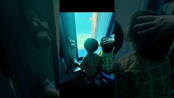 2023年 #双子 #双子育児 #育児 #育児記録 #宮古島