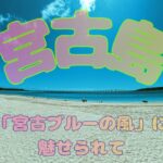 2023年 【宮古島】「宮古ブルーの風」に魅せられて