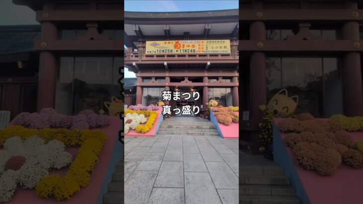 茨城県・笠間菊まつり　