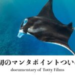 2023年 【本日解禁】宮古島の新ダイビングポイント – マンタホスピタル