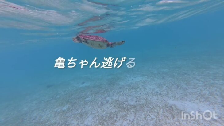 2023年 宮古島新城海岸シュノーケル