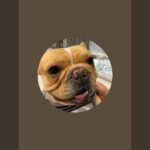 2023年 宮古島のビーチ🏖️