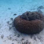 2023年 宮古島新城海岸ドローン&シュノーケルリング