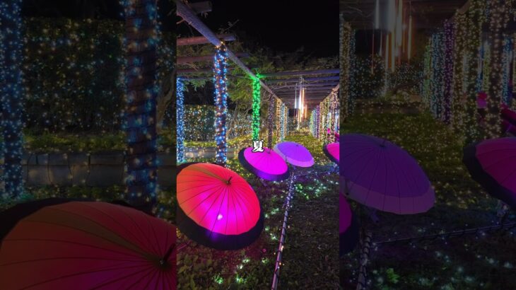 #茨城観光#イルミネーション#デートスポット#デート#茨城