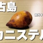 2023年 意外な味！宮古島のフルーツ「カニステル」を食べてみたら