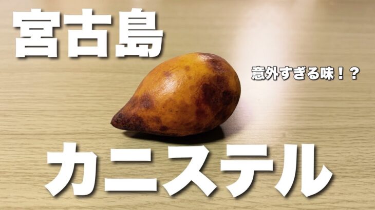 2023年 意外な味！宮古島のフルーツ「カニステル」を食べてみたら