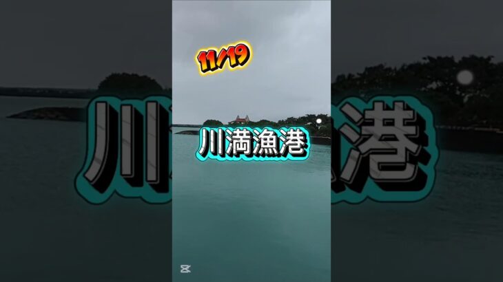 2023年 川満漁港#沖縄#宮古島#デンサー節