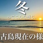 2023年 【楽園かも】冬の宮古島はこんな感じです！現地より最新情報