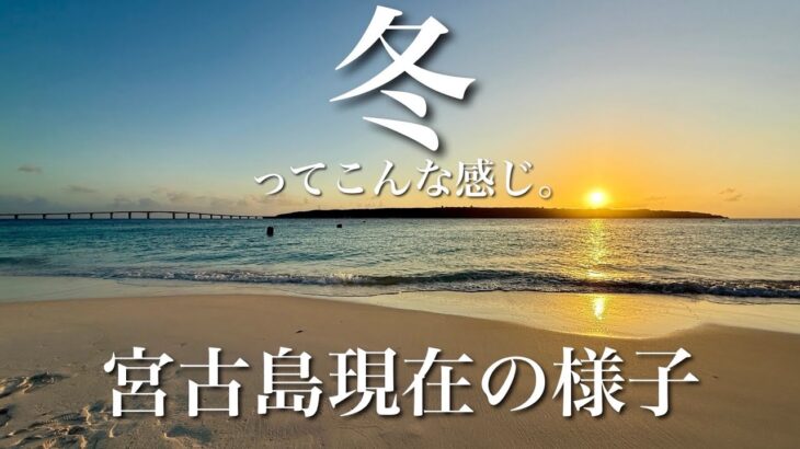 2023年 【楽園かも】冬の宮古島はこんな感じです！現地より最新情報
