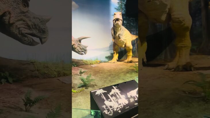 茨城県観光　自然博物館の恐竜と本恭