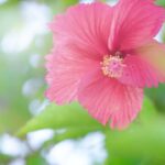 2023年 ウォーターマークホテル沖縄 宮古島