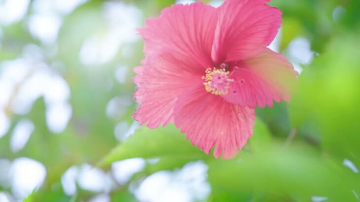 2023年 ウォーターマークホテル沖縄 宮古島