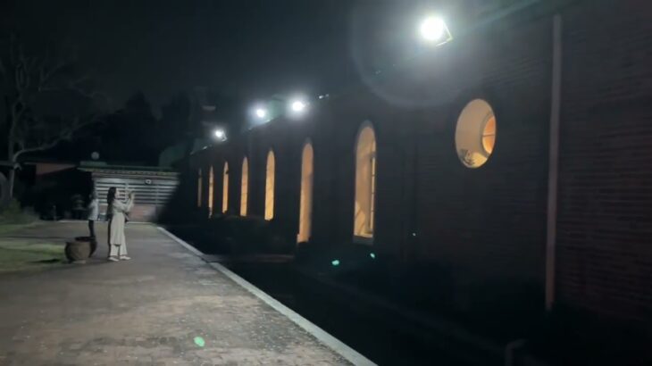 【茨城】牛久シャトーの夜桜がキレイ【観光】