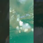 2023年 宮古島　与那覇前浜ビーチ