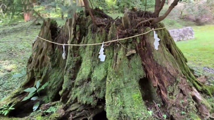 御岩神社で夏詣！神秘のパワースポット巡り【茨城旅行】