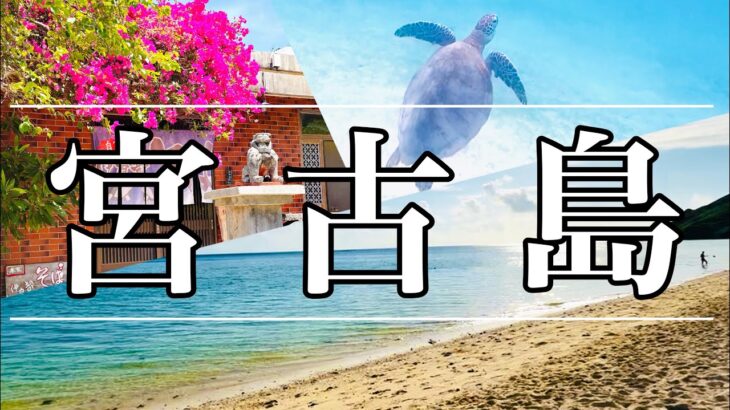 2023年 【 宮古島 】 沖縄宮古島に行ってきた！ウミガメ遭遇・伊良部そば・シュノーケリング・女旅 【沖縄県】