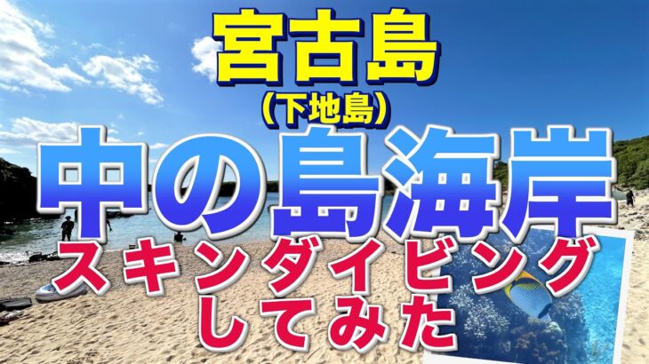 2023年 宮古島（下地島）中の島海岸スキンダイビングしてみた