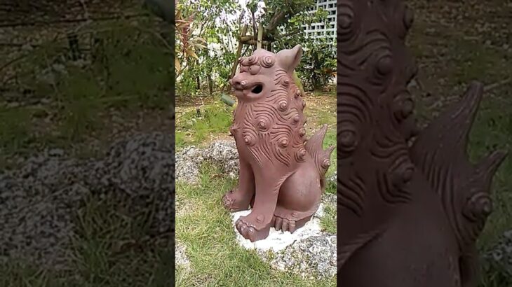 2023年 宮古島空港でシ－サが待っていた !!　碧義