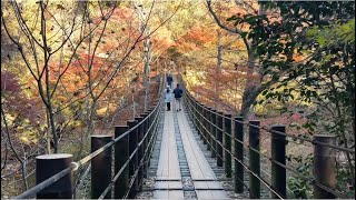 【茨城県】花貫渓谷・汐見滝吊り橋🛤️