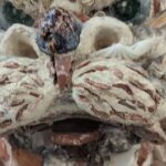 2023年 宮古島①