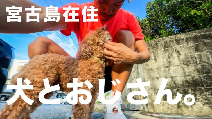 2023年 宮古島で送る普通の日常 vlog