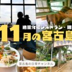 2023年 【日常vlog】11月の宮古島 │ 秋になった神社にお参り│オーシャンビューの絶景で朝食│植物園をお散歩🌺