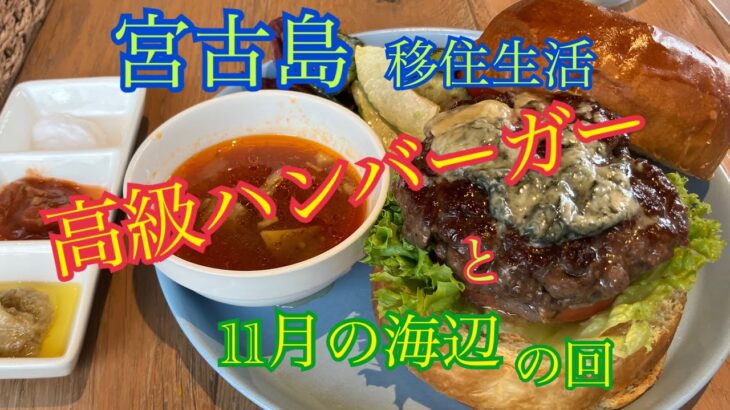 2023年 【vlog】宮古島移住生活🏝️高級バーガーと11月の海辺🌊私の日常。