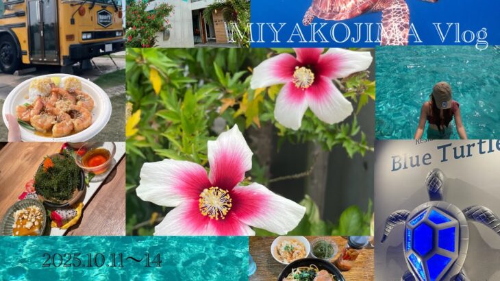 2023年 【宮古島vlog】毎年宮古島行く人の楽しみ方🌴2025.10.11~14