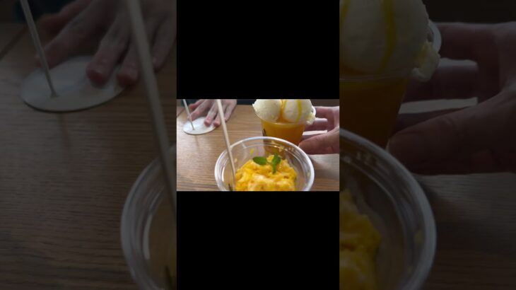 2023年 宮古島で予算気にせず好きなだけマンゴー頼んだ結果w